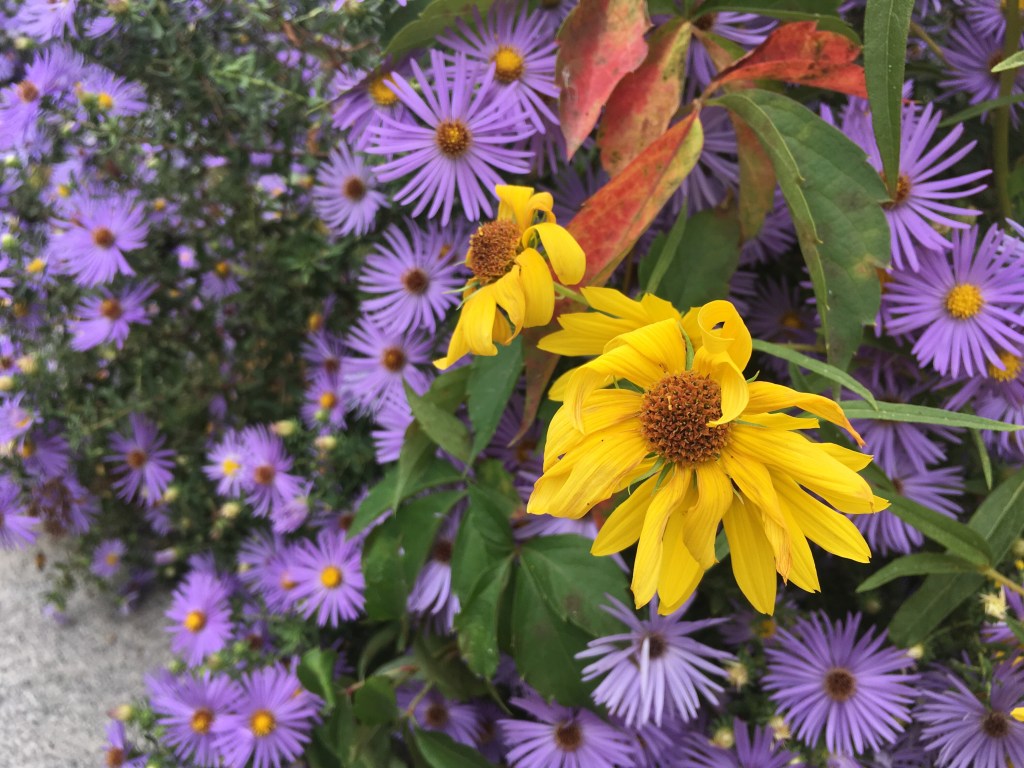 Hormone Balance and Enhancing My Fertility&nbsp;Naturally