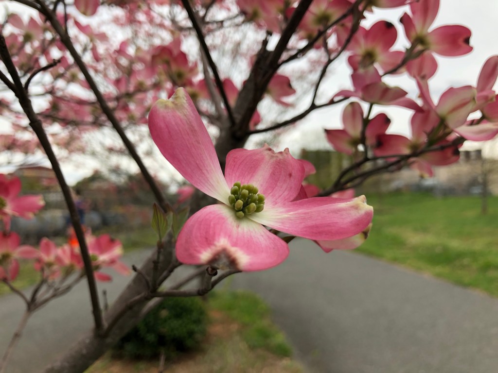 Searching For The Right Model of Prenatal&nbsp;Care