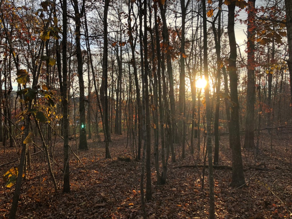 End of Year Reflection&nbsp;2018