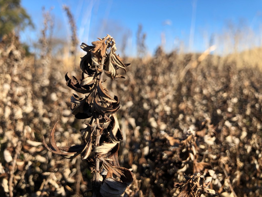 J a n u a r y  2 0 2&nbsp;0