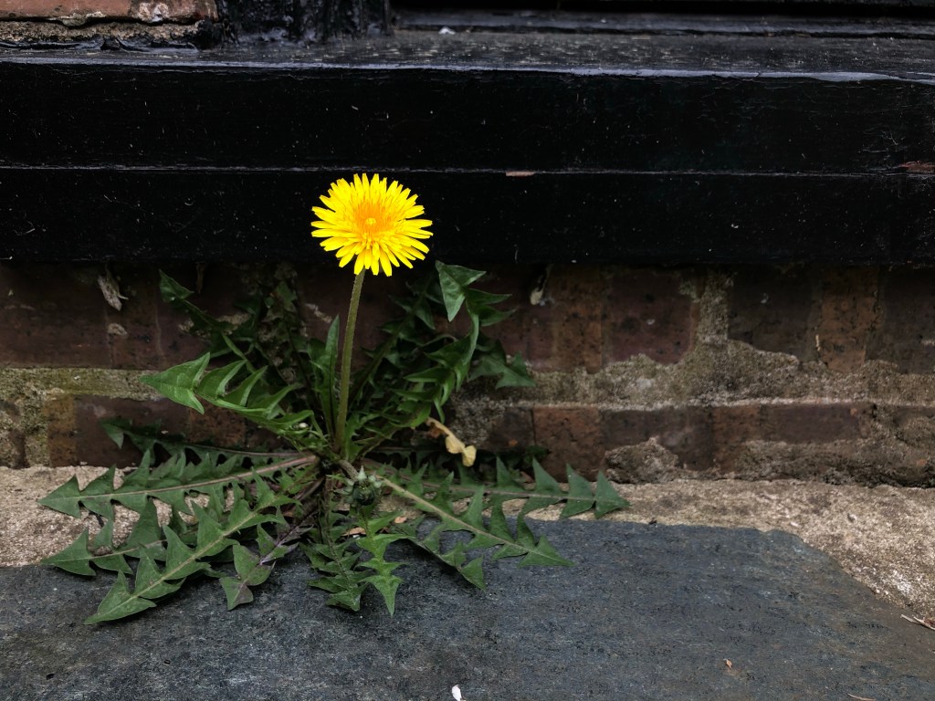 March — A Journal&nbsp;Entry