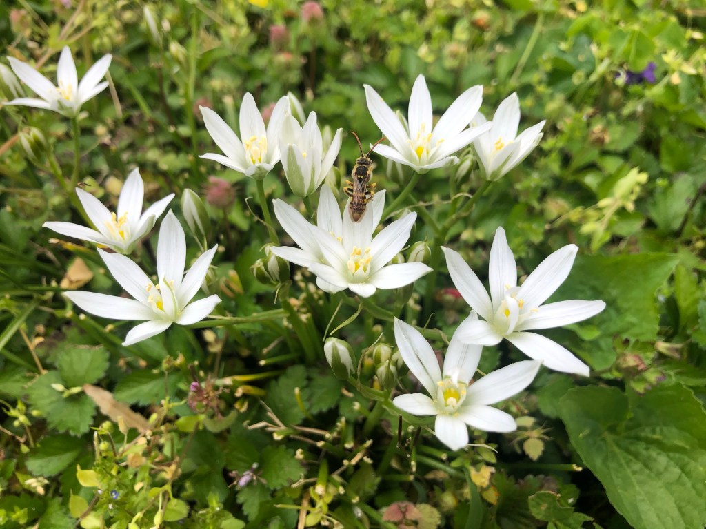 Finding Light in the Darkness 