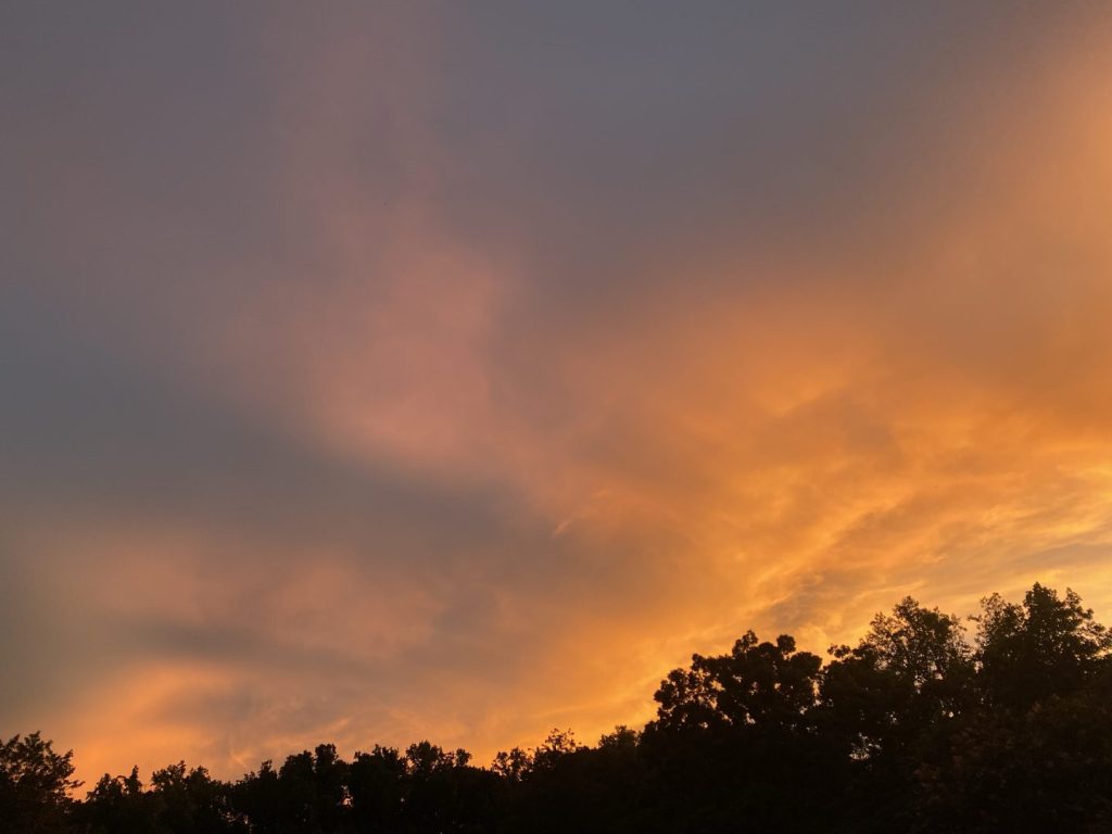 On a Healing&nbsp;Journey